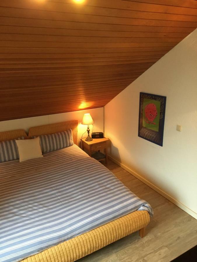 Apartment Schwarzwald Total Фройденштадт Экстерьер фото